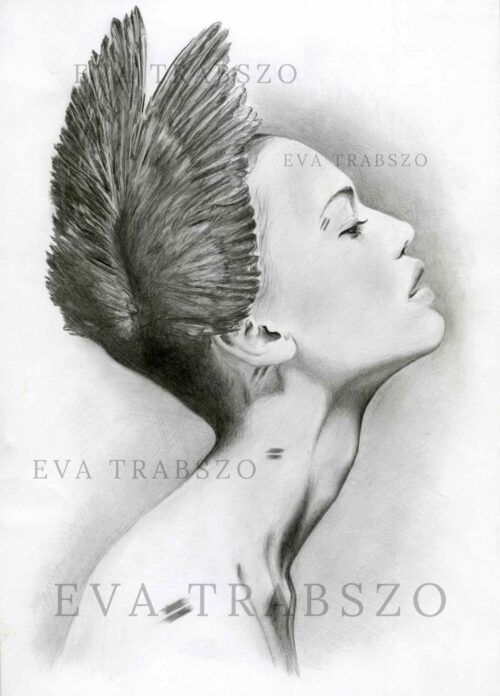 pencil drawing named HER WING by artist eva trabszo